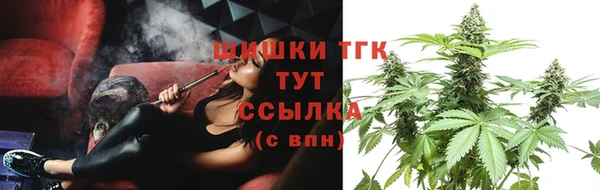 молекула духа Михайлов