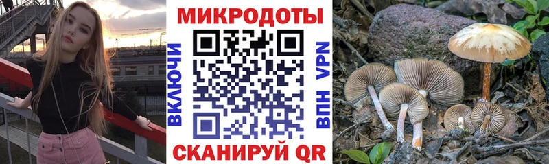 Галлюциногенные грибы ЛСД  Находка 