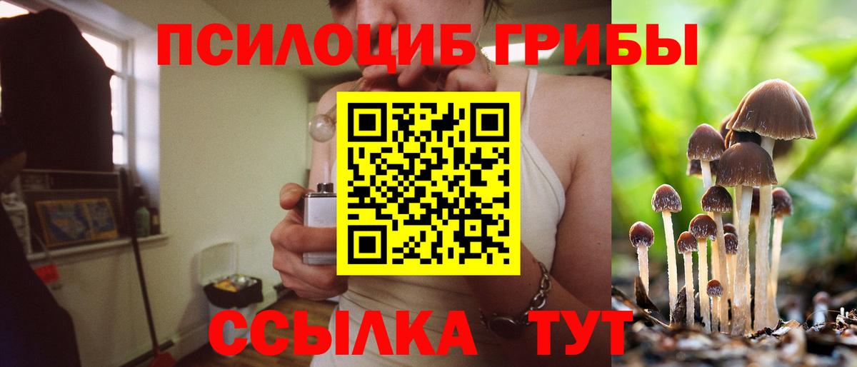 Псилоцибиновые грибы Magic Shrooms  купить  сайты  Находка  Галлюциногенные грибы GOLDEN TEACHER  Вход с VPN 